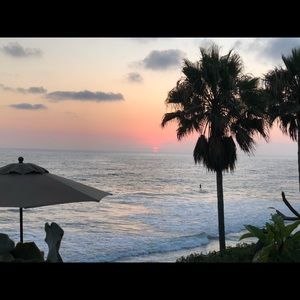 Meet your Posher, Carolina